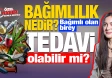 Yeşilay Haftası'nda bağımlılıkla mücadele: Psikolojik destek ve ailenin önemi!