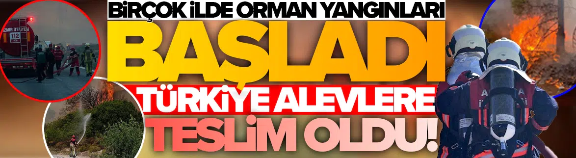 Türkiye alevlere teslim oldu: Birçok ilde orman yangınları başladı