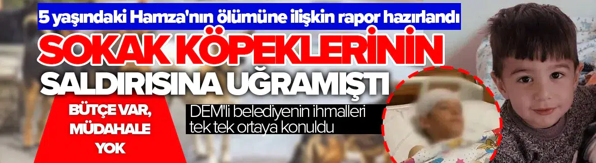 Van'da 5 yaşındaki Hamza'nın ölümüne ilişkin müfettiş raporu