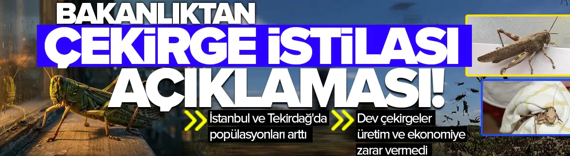 'Marmara'da çekirge istilası yok'