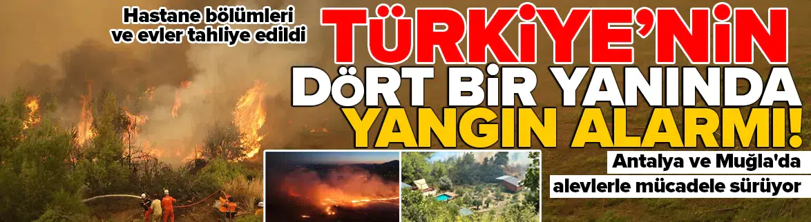 Türkiye orman yangınlarıyla mücadele ediyor