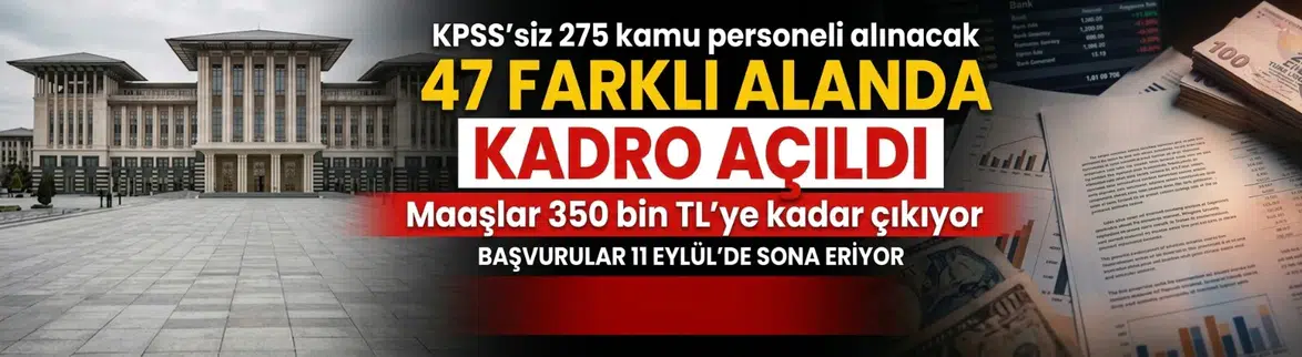 Cumhurbaşkanlığı siber güvenlik alanında KPSS'siz 275 personel alıyor : İşte şartlar