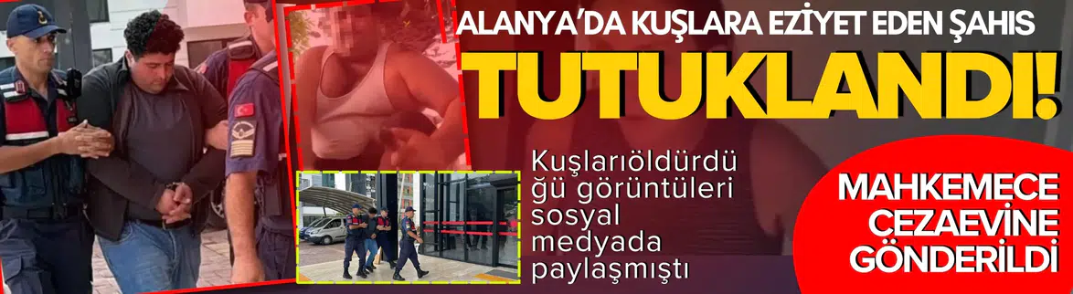 Alanya'da kuşlara eziyet eden şahıs tutuklanarak cezaevine gönderildi