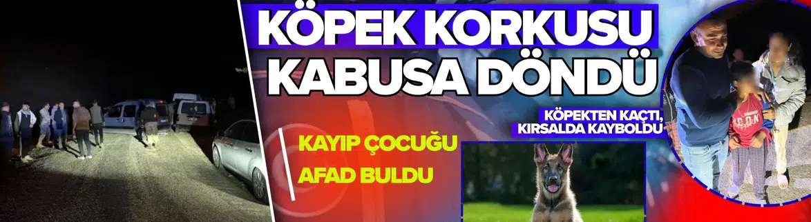 Köpekten korkup kaçmıştı