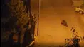 Ankara'da aç ayı sokak sokak gezdi! İşte o anlar