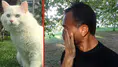 Kaybolan kedisi için günlerdir sokakta! Bulana 10 bin TL ödül verecek