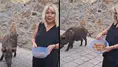 Şarkıcı Safiye Soyman Bodrum’daki evinin önüne gelen yaban domuzunu cevizle besledi