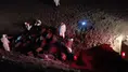Iğdır'da arıdan korkan koyunlar birbirini ezdi