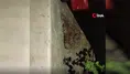 Hatay'da evin bahçesinde 1 buçuk metrelik yılan