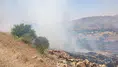 Mardin'de ormanlık alanda yangın çıktı