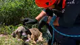 Siirt'te kuyuya düşen köpek kurtarıldı