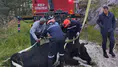 Bolu'da inek 50 metrelik uçuruma düştü