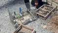 Kahramanmaraş'ta kaçak saka kuşu operasyonu : 175 kuş kurtarıldı