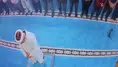 Erzurum'da camide kediyi tekmeleyen şahıs gözaltına alındı