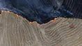 Kırıkkale'de anız yangını kısa sürede büyüdü