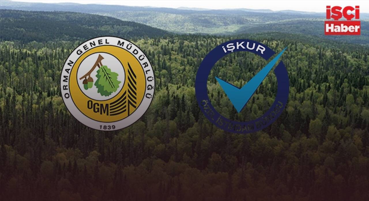Orman Genel Müdürlüğü taşra teşkilatına işçi alımı!!