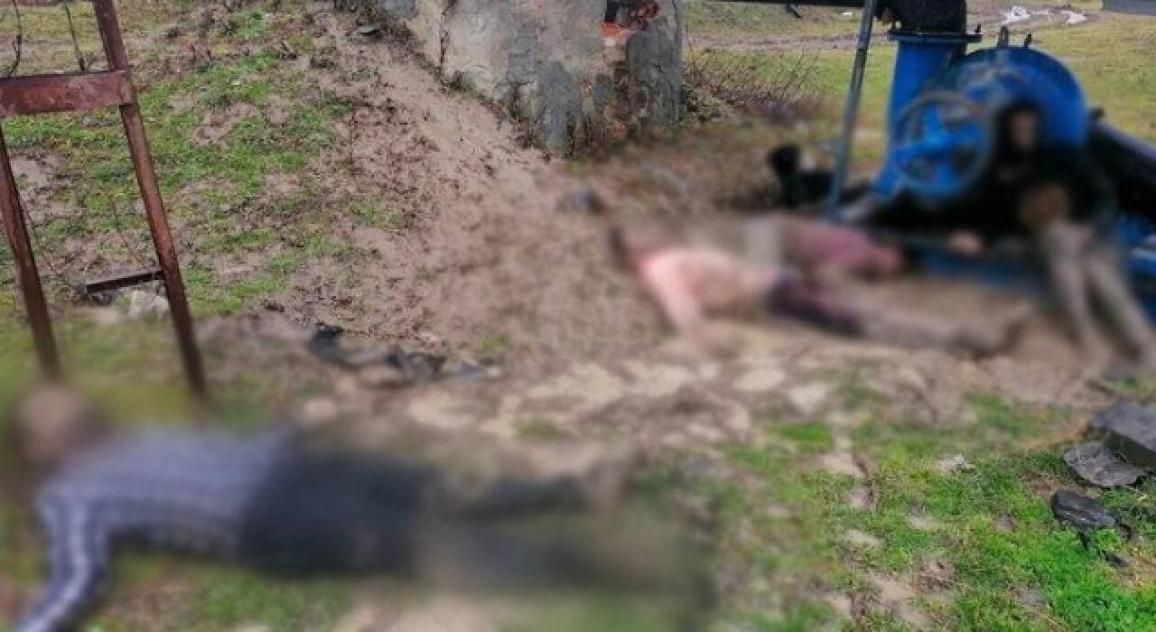 Yürükleri burkan bir göçmen haberi daha, 9 göçmen donarak ölmüş halde bulundu!