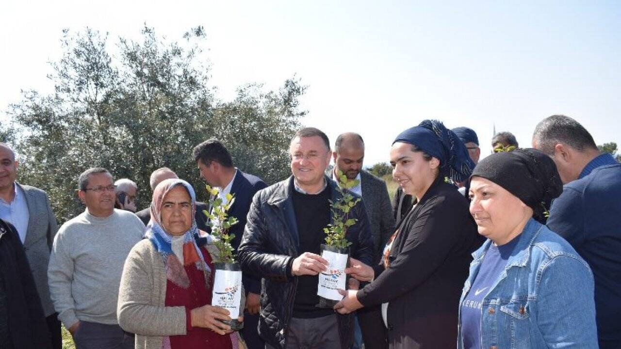 Hatay Büyükşehir'den üreticiye destek 