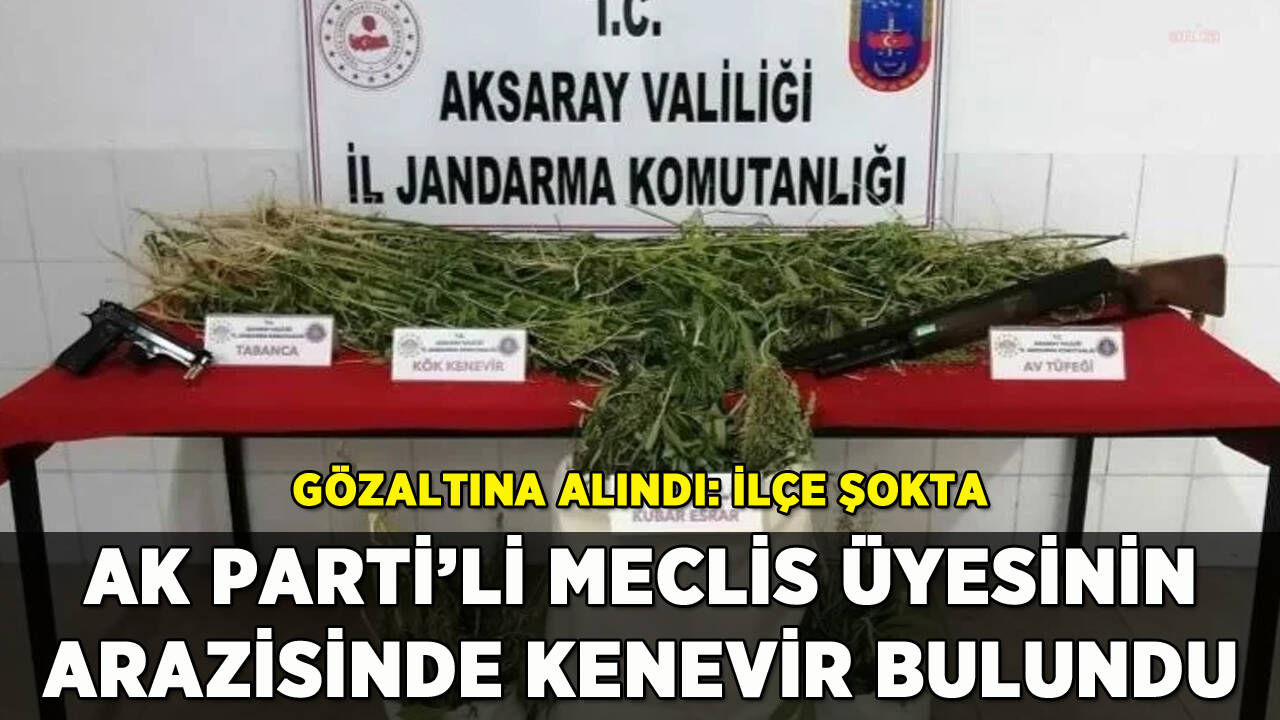 AK Parti'li meclis üyesinin arazisinde kenevir bulundu