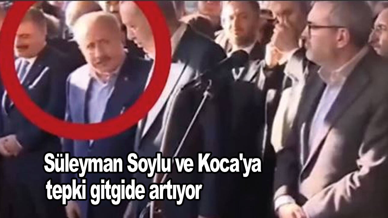 Süleyman Soylu ve Koca'ya tepki gitgide artıyor
