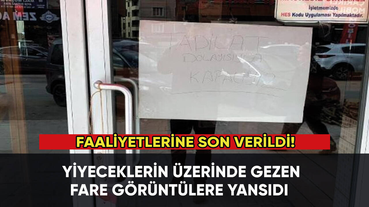 Yiyeceklerin üzerinde fare gezen işletmeye ceza