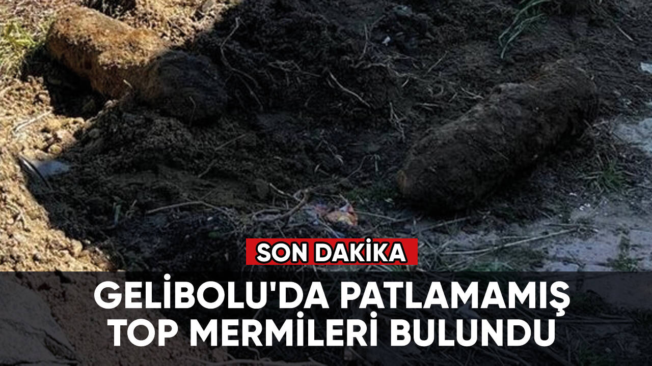 Son dakika... Gelibolu'da patlamamış top mermileri bulundu