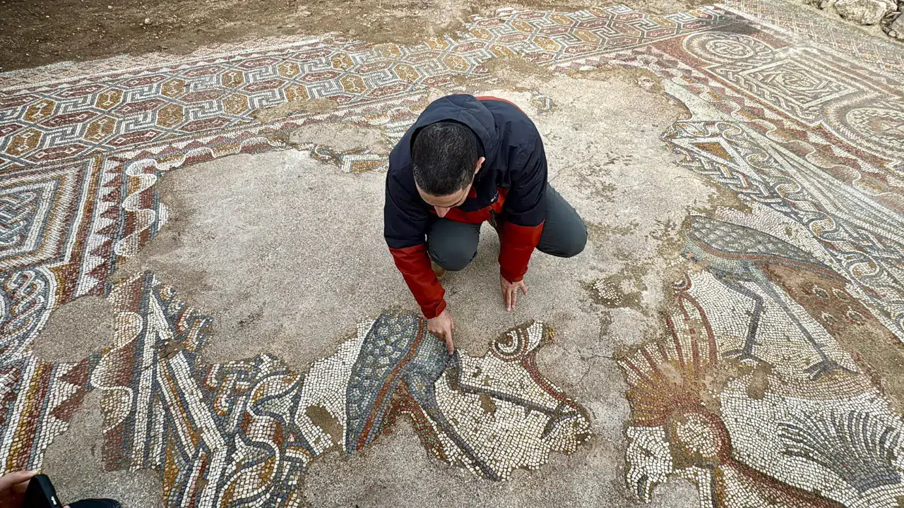 Hadrianopolis’te saray kompleksi bulundu: 4. yüzyıla ait benzersiz mozaikler gün yüzüne çıktı