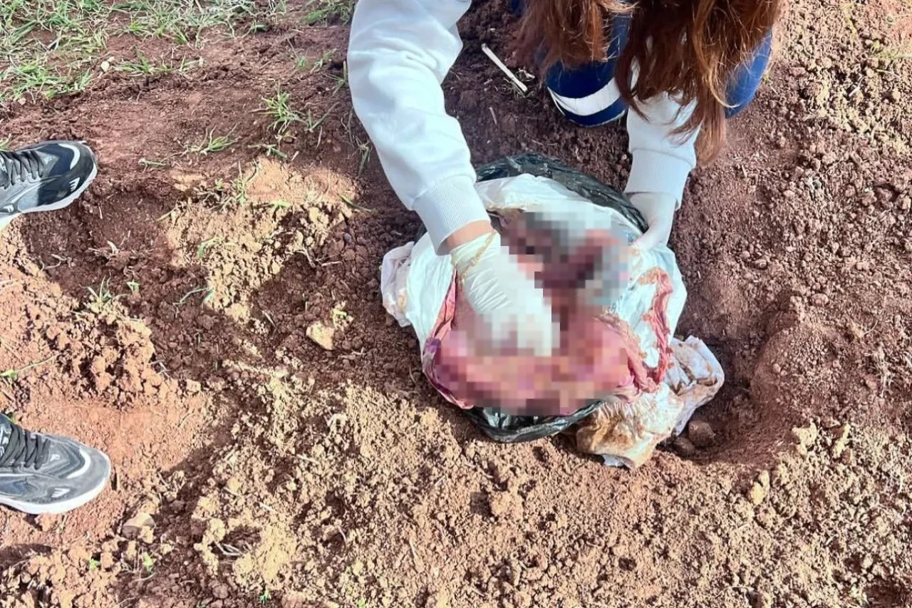 Şırnak'ta yeni doğan bebek cinayetinde 2 kişi tutuklandı