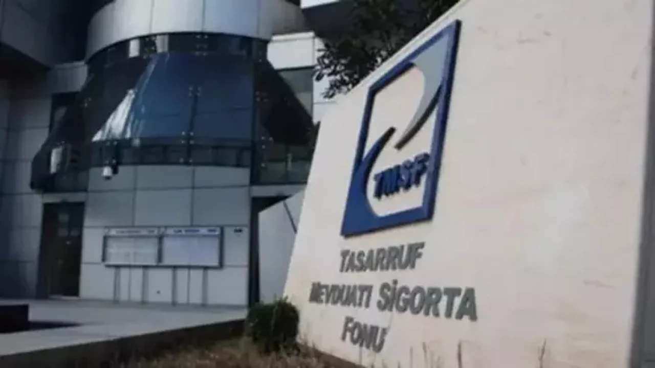 TMSF açılımı nedir, görevleri neler? TMSF ne işe yarar?