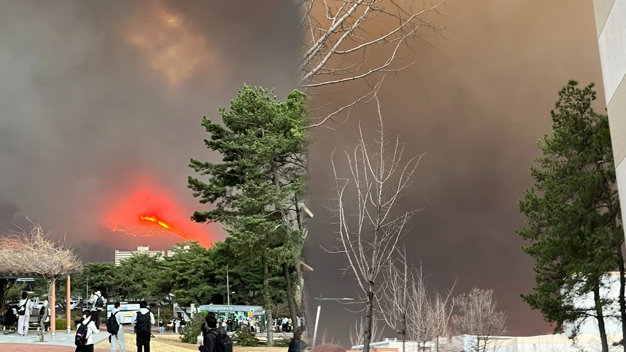 Güney Kore'de 1haftadır süren orman yangınları kontrol altına alındı