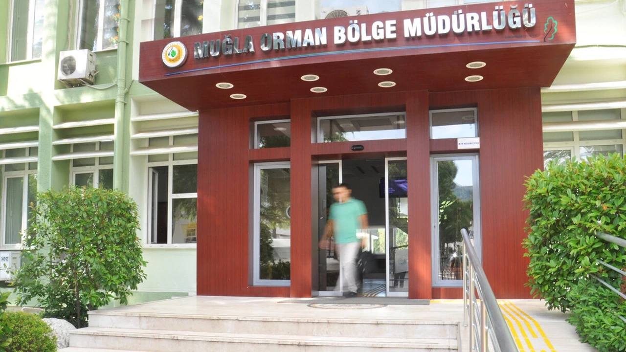 Muğla Orman Bölge Müdürlüğü’ne 478 geçici işçi alımı! Kura çekimleri başladı