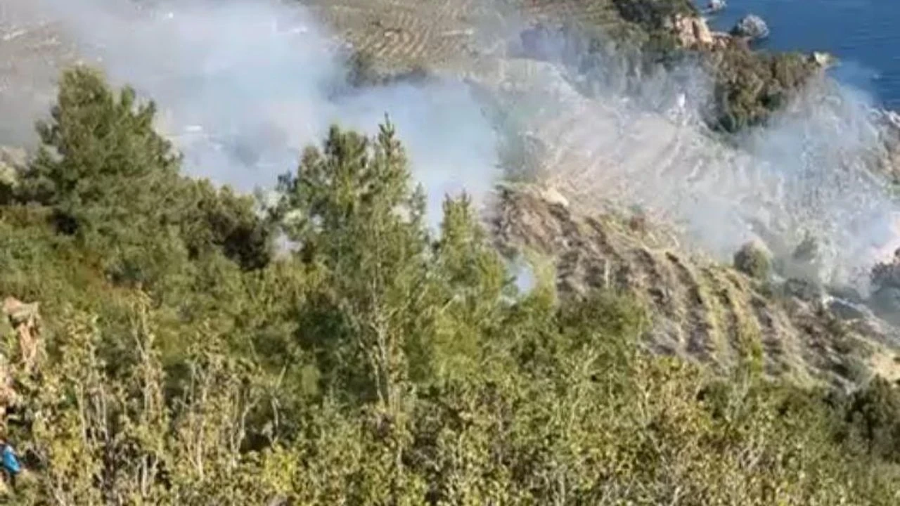 Antalya’da muz bahçesinde yangın paniği! Alevler 6 saatte kontrol altına alındı