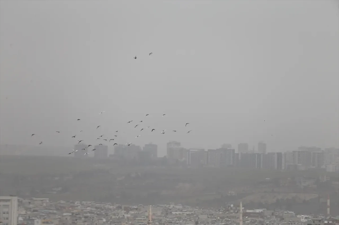Şanlıurfa'da toz taşınımı etkili oluyor