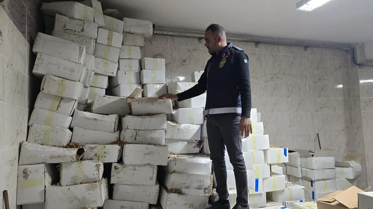Baklava üretiminde kullanılacak 11 ton sağlıksız ceviz ele geçirildi