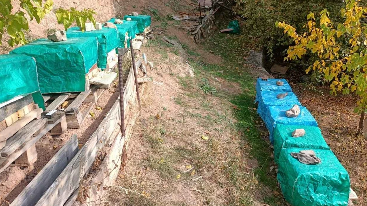Gümüşhane’de şiddetli fırtına arı kovanlarını parçaladı