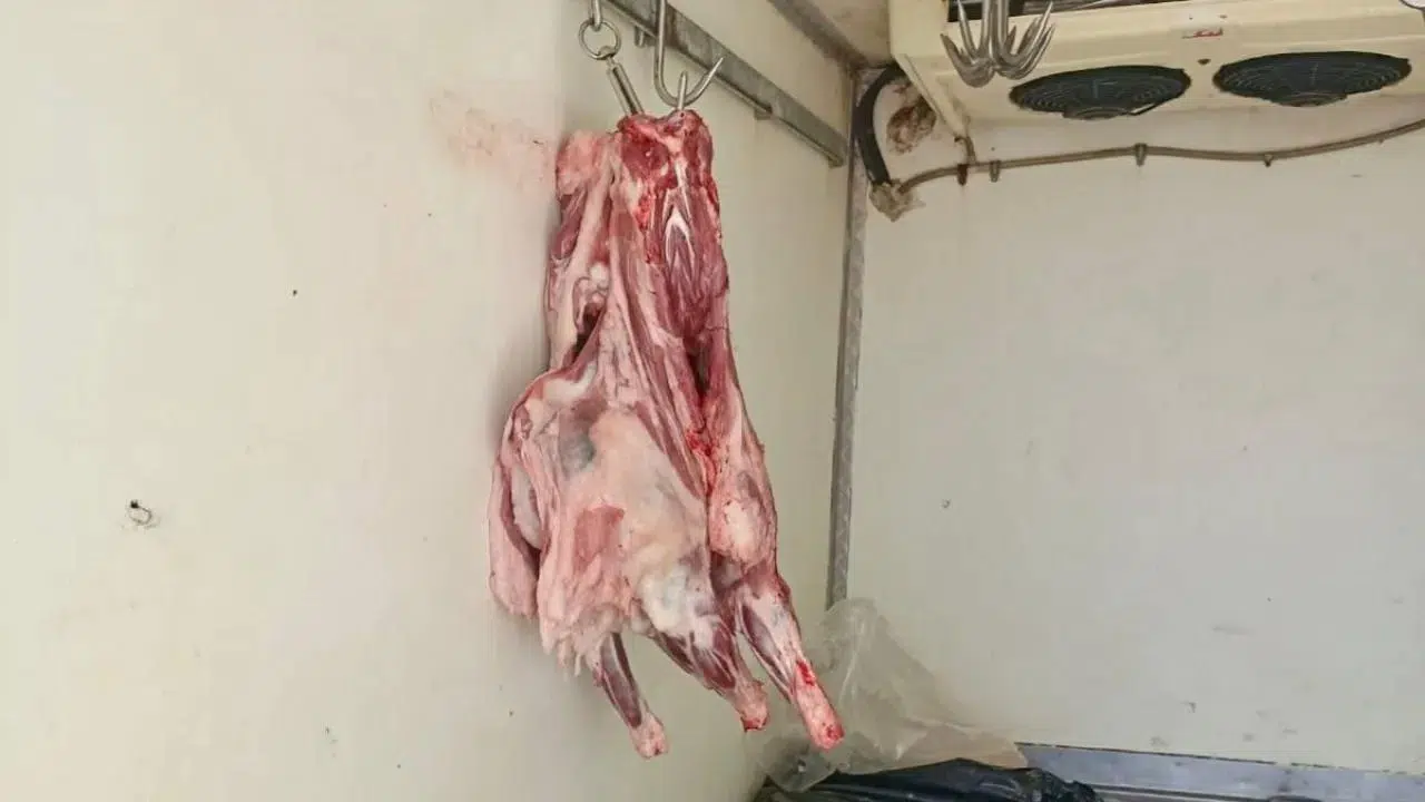 Hatay'da hijyen skandalı! Kaynağı belirsiz 34 kilo et ele geçirildi