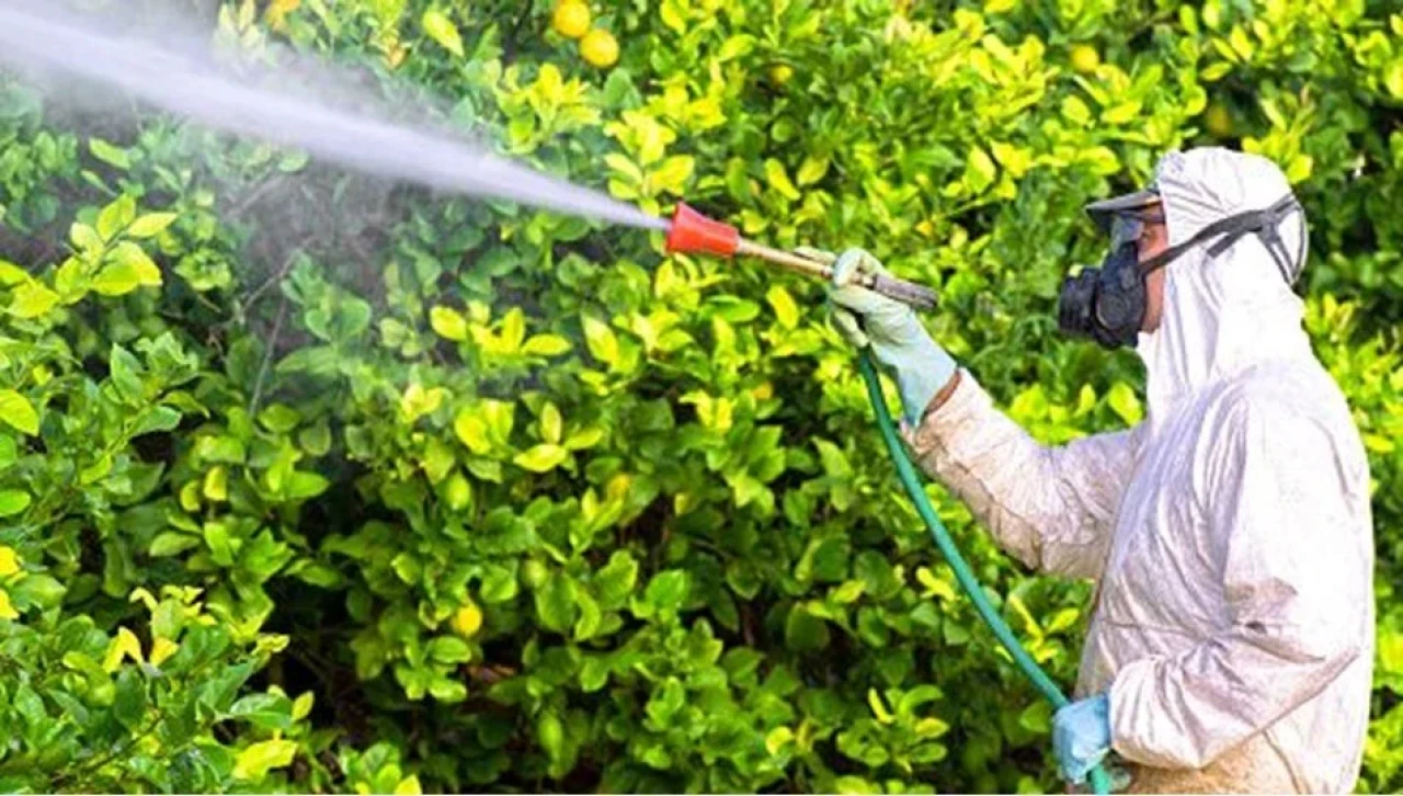 Pestisit nedir? Pestisitlerin insan sağlığına zararları nelerdir?