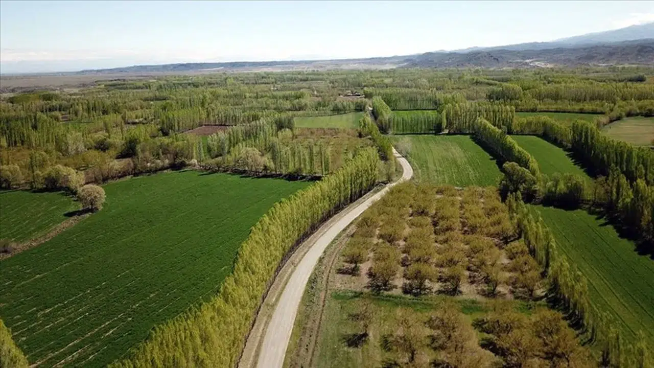 2B arazi nedir, kimler alabilir? Orman sınırı dışına çıkarılan arazilerle ilgili merak edilenler