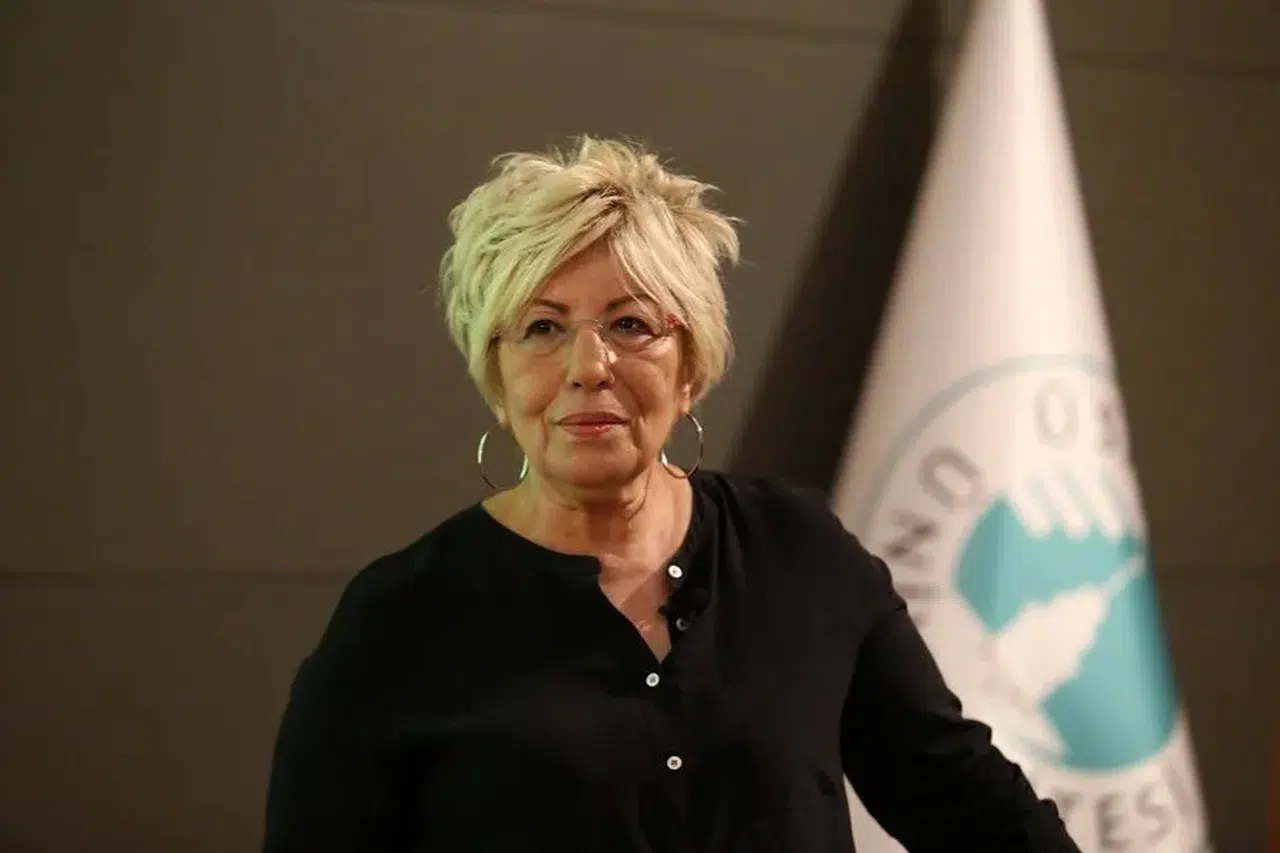 Sevil Atasoy kimdir? Prof. Dr. Sevil Atasoy Sevil Atasoy kaç yaşında, nereli?