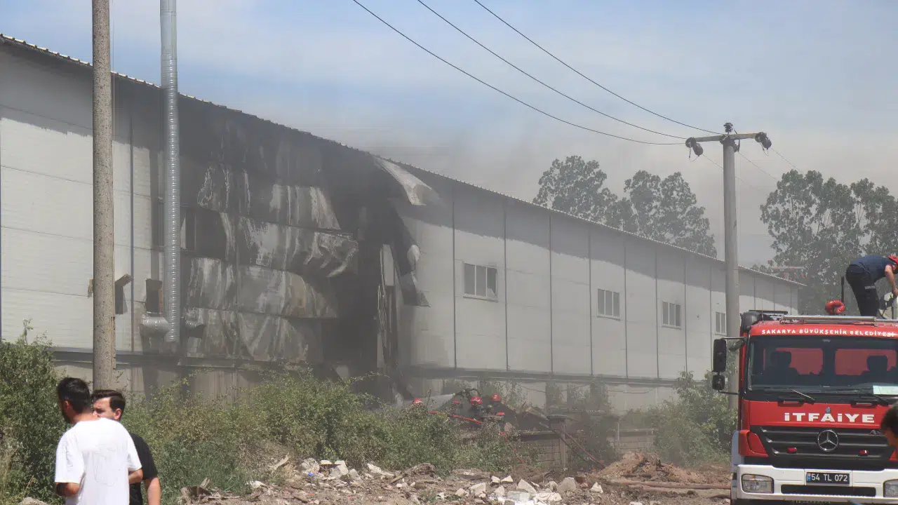 Sakarya'da kontrplak fabrikasında yangın!