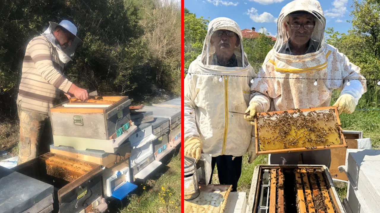 Antalya'da arıcılar sezondan umutlu: Yeni sezona hazırlık sürüyor!