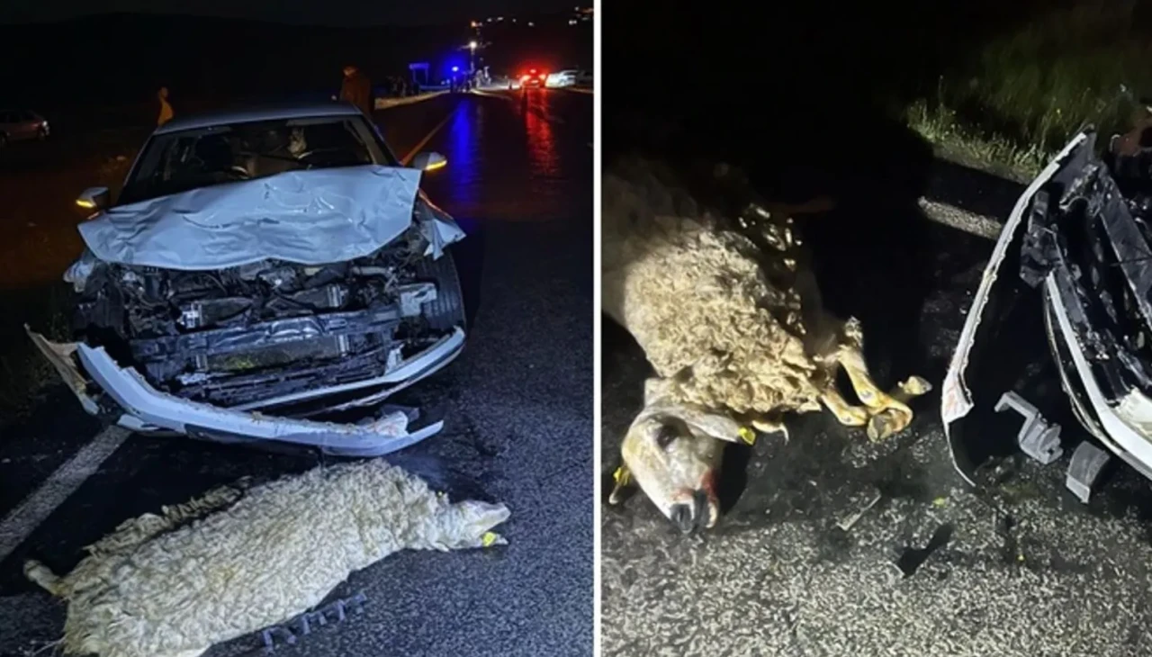 Siverek'te korkunç kaza: Otomobil koyun sürüsüne çarptı! 3 yaralı, 4 koyun telef oldu