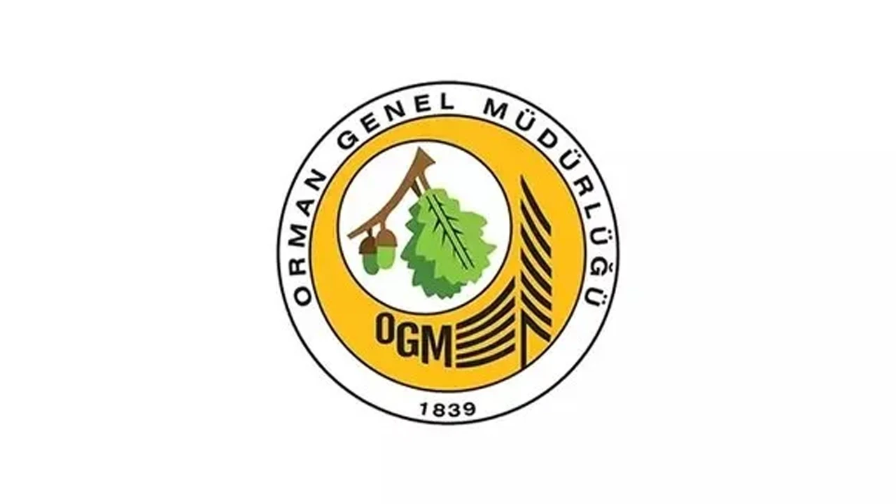 OGM 3477 personel alımı: Orman Genel Müdürlüğü (OGM) sonuçları açıklandı mı, ne zaman açıklanacak?