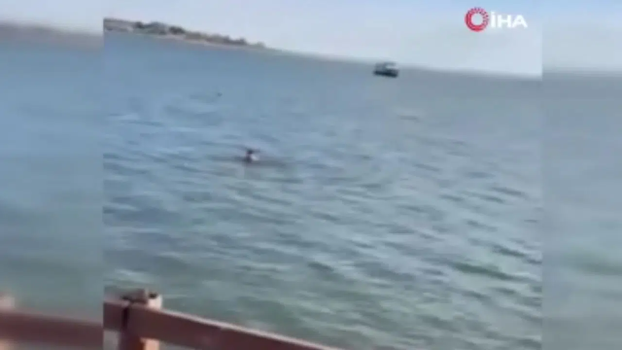 Mogan Gölü’nde şaşkınlık yaratan anlar: “Kurtuldum” diye bağırarak göle atladı!