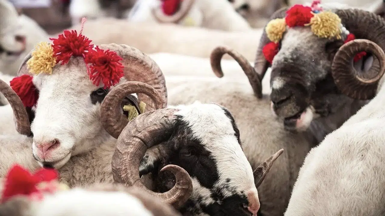 Kurban bayramı tatili uzayacak mı? Kabine toplantısı ne zaman?