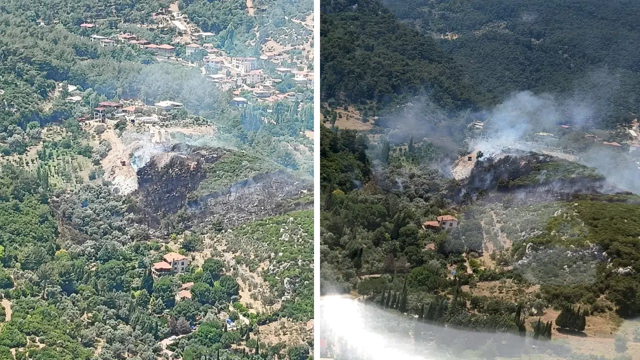 İzmir Kemalpaşa’da orman yangını!