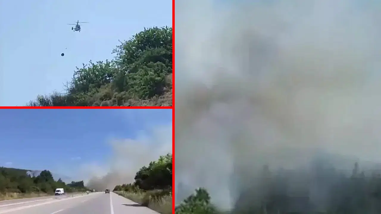 Çanakkale Lapseki'de orman yangını!