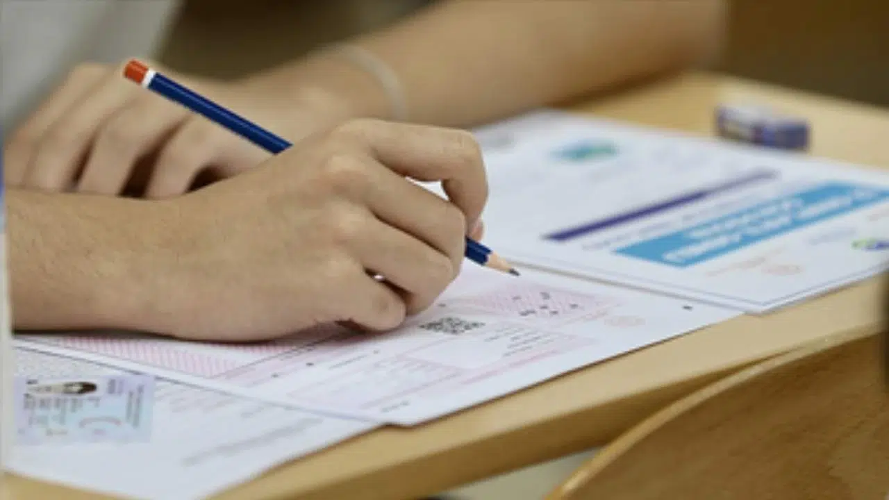 2025 AYT’de mimikri sorusu gündem oldu: Mimikri nedir, ne anlama geliyor?