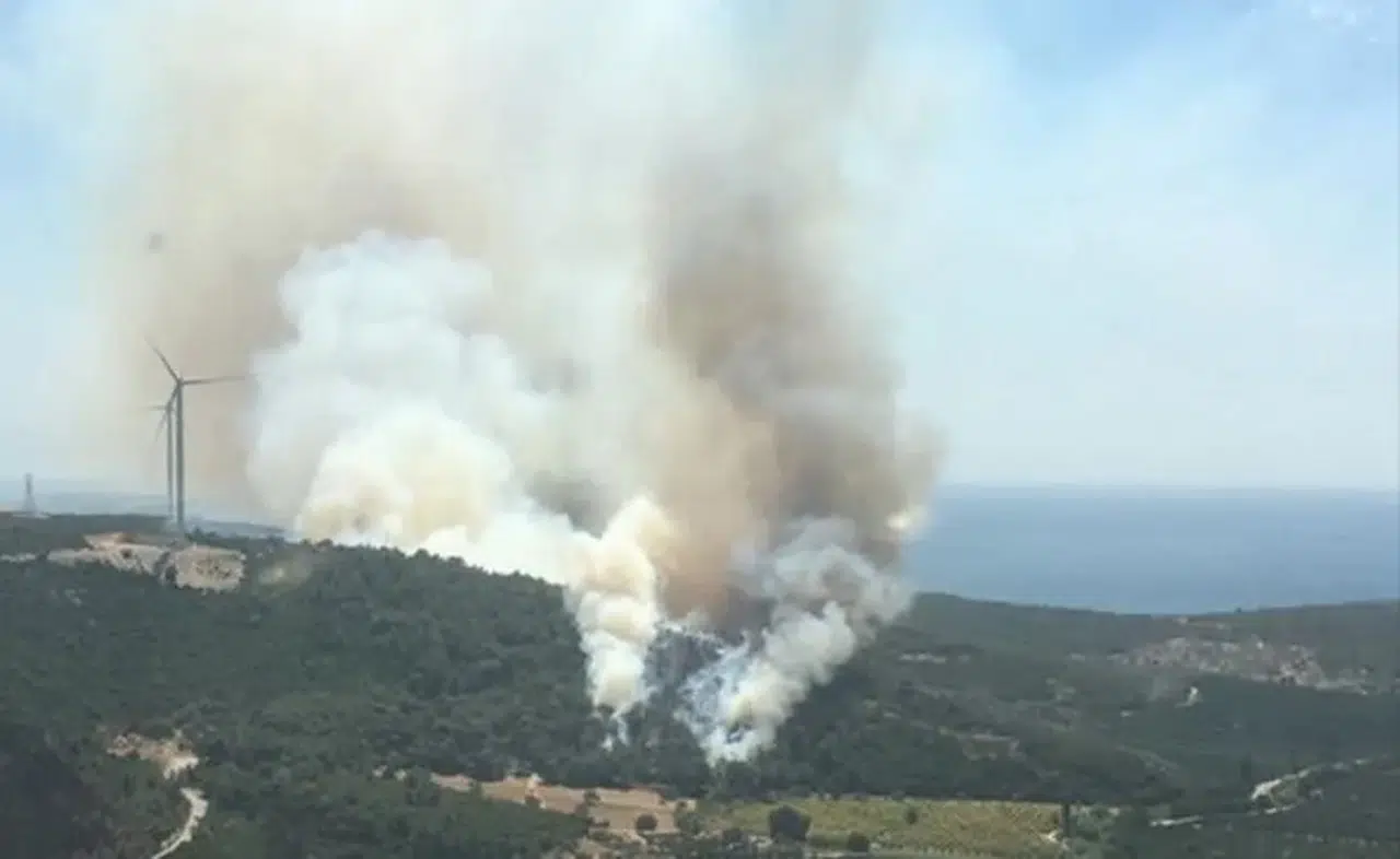 İzmir Seferihisar'da korkutan yangın: Ağaçlık alanda alevler yükseldi!
