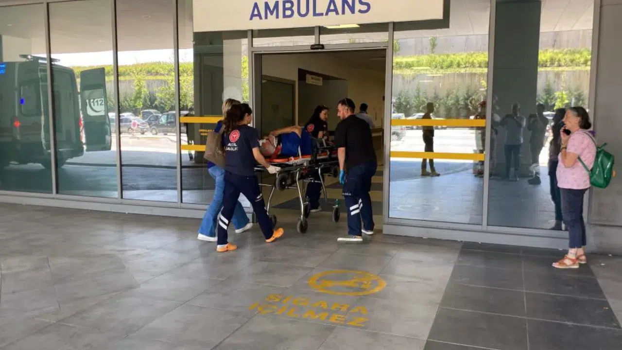 Kocaeli'de otomobil ağaca çarptı: Yaşlı çifti ölüm ayırdı